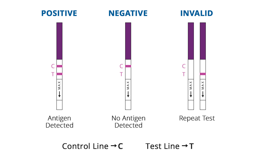 Rapid Strep Test Kit Strep A Test Strip Buy Strep Test